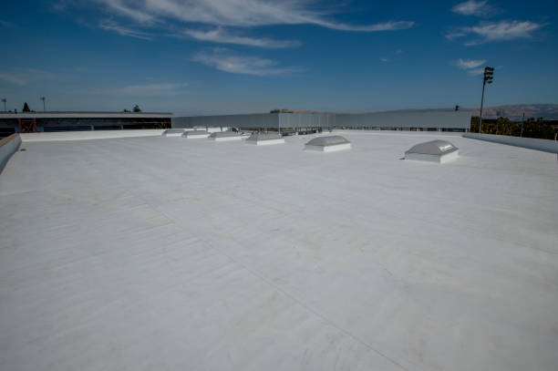 Skylights in Chaparral, NM